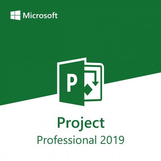 Project Professional 2019